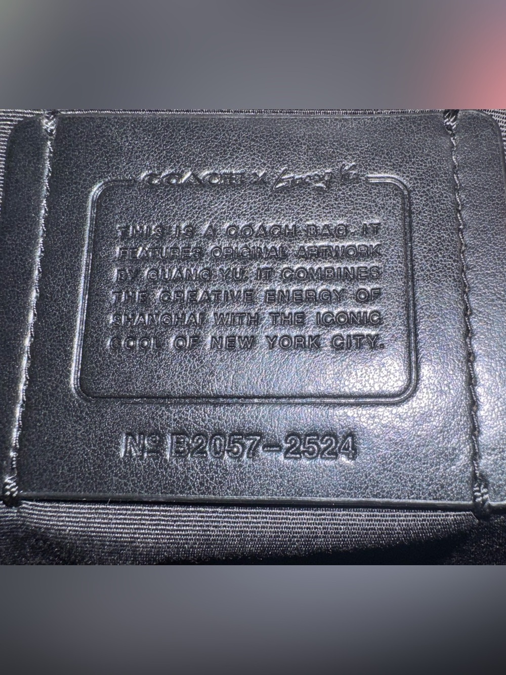 Coach x Guang Yu Warren Belt Bag - red/black Graffiti Style Rexy 2020 - like New - Picture 6 of 16